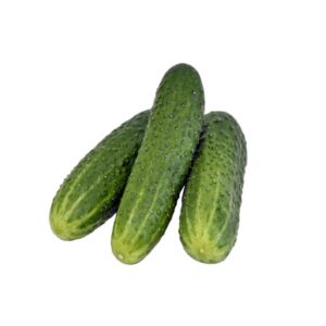 Cucumber